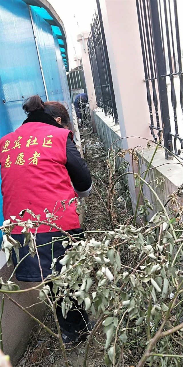 清理花园内杂物