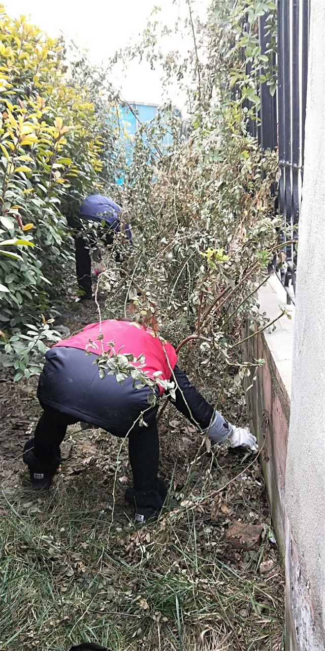 清理花园内杂物