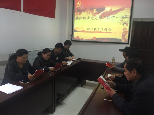 腾阳物业开展“两学一做”学习教育专题会(图3)