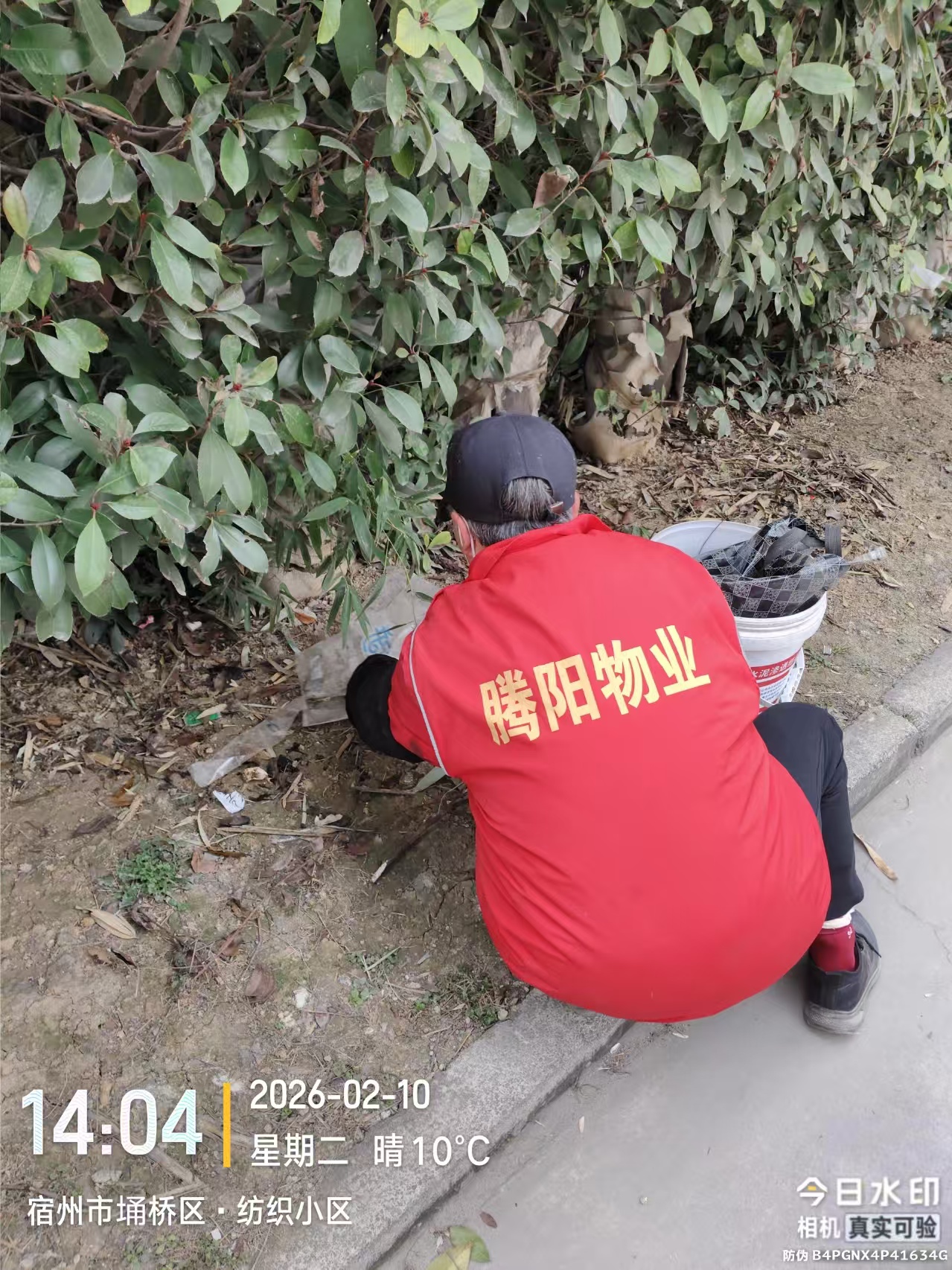 腾阳之窗第5期（总第9期）(图5)